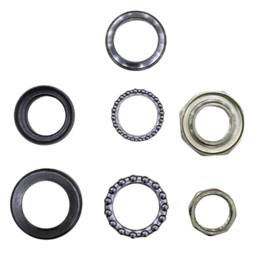 VS1 GİDON RULMAN SET